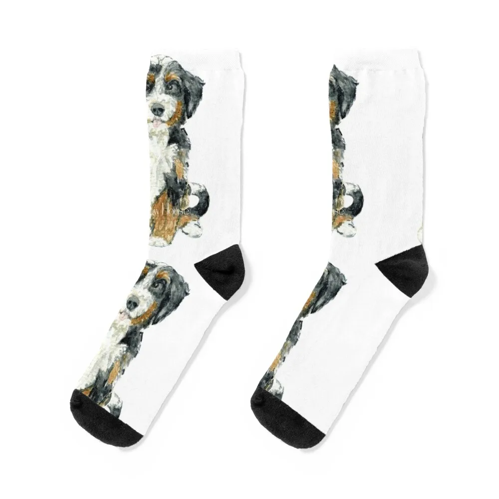 

Bernedoodle Puppy Socks Running anime basketball sheer Male Socks Women's