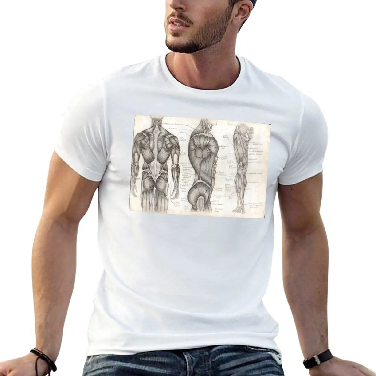 Human Anatomy 1 T-Shirt anime tshirt g man t shirts for men T-Shirt