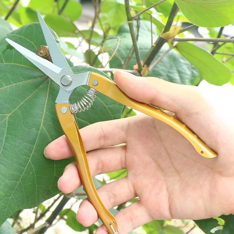 1PC stainless steel fruit picking and pruning shears, garden and horticultural shears with serrated zinc alloy handle, fruit tre
