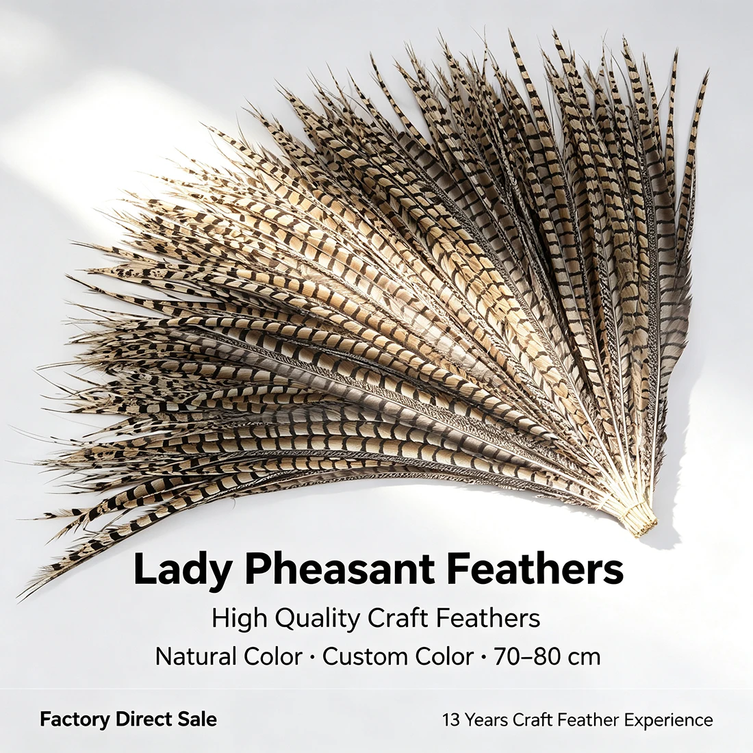 ZPDECOR Long Pheasant Feathers 70-80cm/28-32 Inch for DIY Crafts Home Decorations