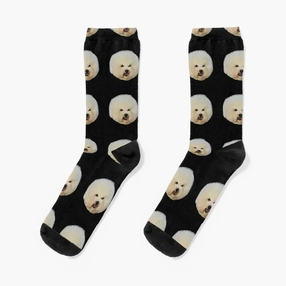 

A Very Beautiful Bichon Frise Dog Socks new in's Heating sock snow Socks For Girls Men's