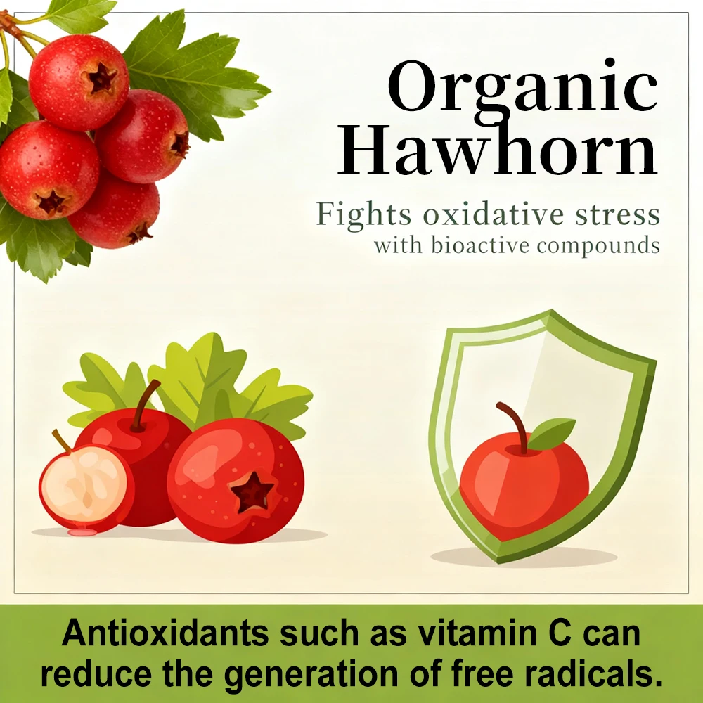 Ultra-Potential Hawthorn Extract Capsules, Supports Digestion, Heart Health, and Blood Sugar Control, Promotes Digestive Health