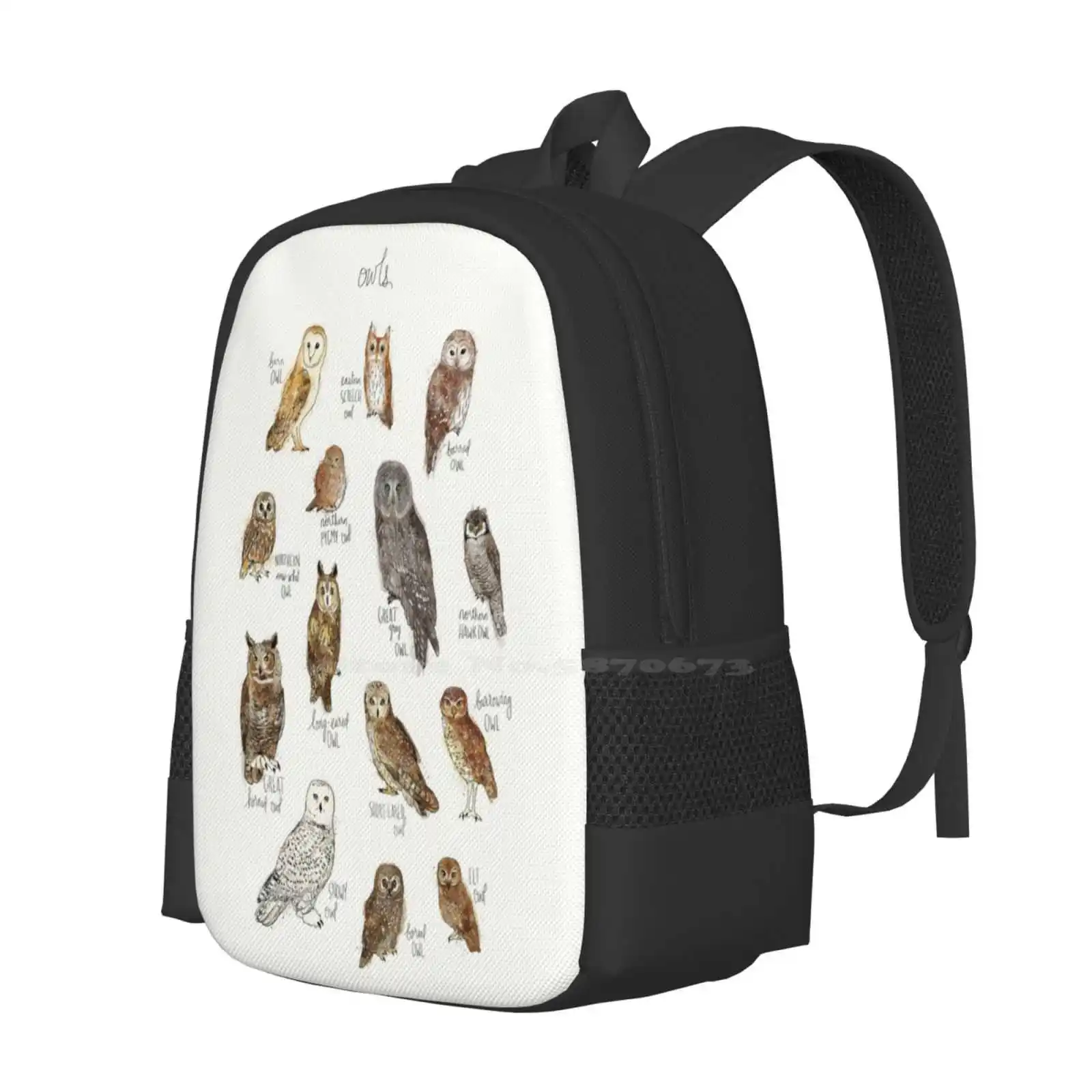 Owls Backpacks For School Teenagers Girls Travel Bags Owls Animals Birds Fauna Creatures Nature Wildlife Forest Chart Barn