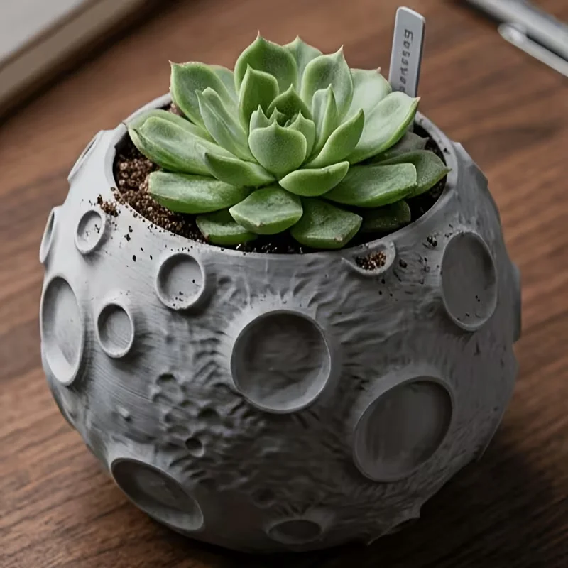 Mond-Pflanzentopf mit Mondober – Echeveria Succulent Bewertung und Preis