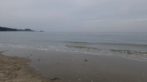 리뷰 사진