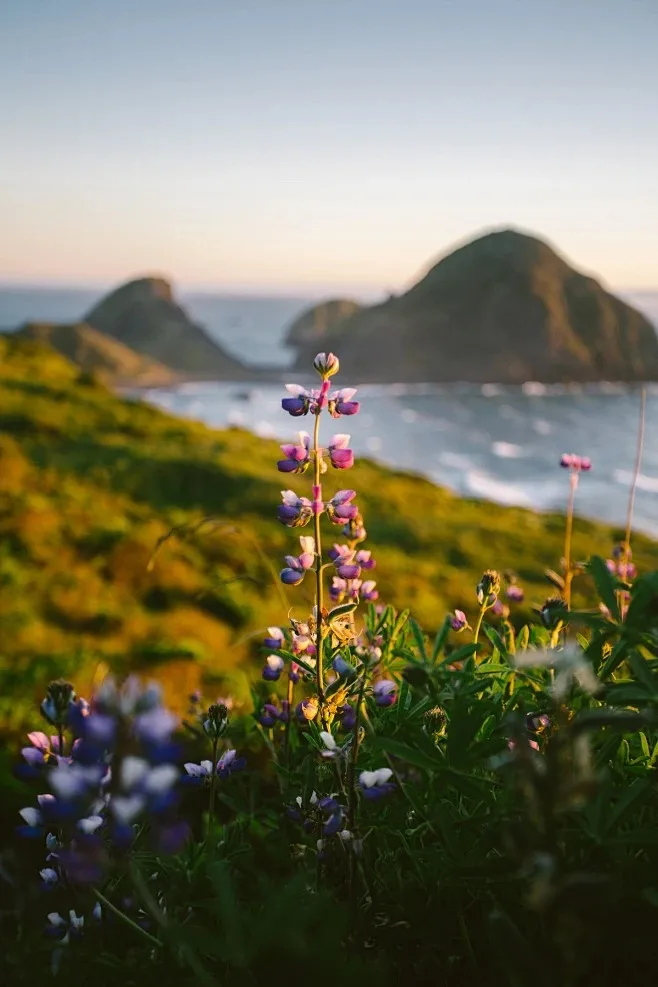 

Крепежный стержень шасси для WLP 1/16 C44 C34 FJ45, металлическое обновление радиоуправляемого автомобиля, аксессуары OP, детали