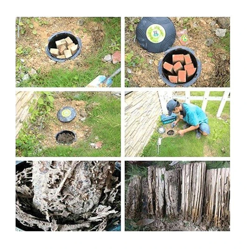 Termite Bait Trap Station Dam Economic Forest Farm Odorless Supply Accessories for Plants Fruit Vegetables Catcher high quality