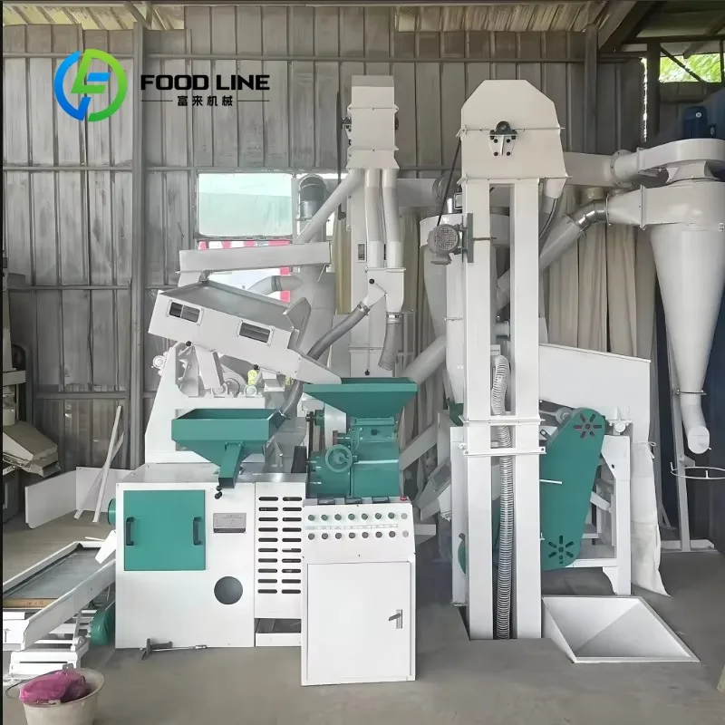 Customize Rice Milling Machine Complete Paddy  Polisher Sorting Unit High Capacity Grain Processing for Small Rice Mill Plant