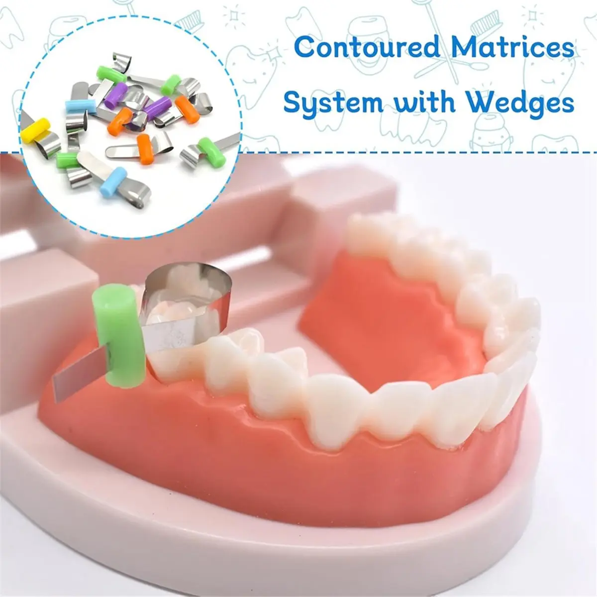 REST 50pcs/Box Dental Orthodontic Forming Sheet Sectional Contoured Metal Matrices with Positioning for Adult/Children
