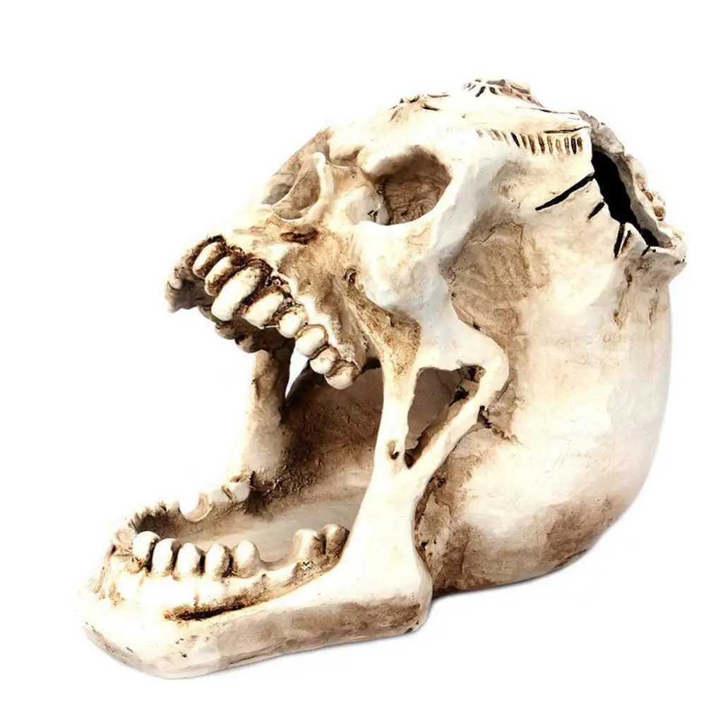 Skull Storage Boxes Resin Desktop Organizer Ornament Makeup Organizer Box Jewelry Box Organizer for Home Office
