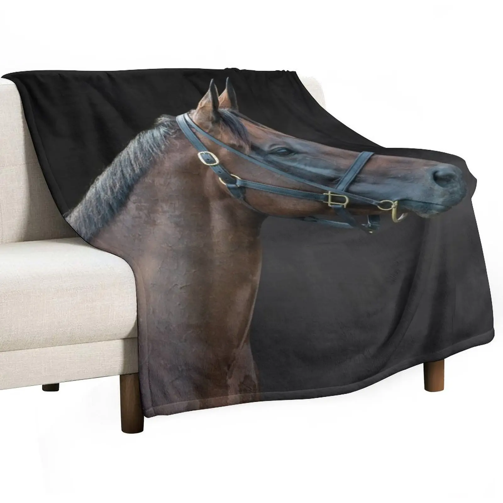 

Winx - Colour - The Rosehill Farewell Throw Blanket Bed Camping Decorative Beds Shaggy Blankets