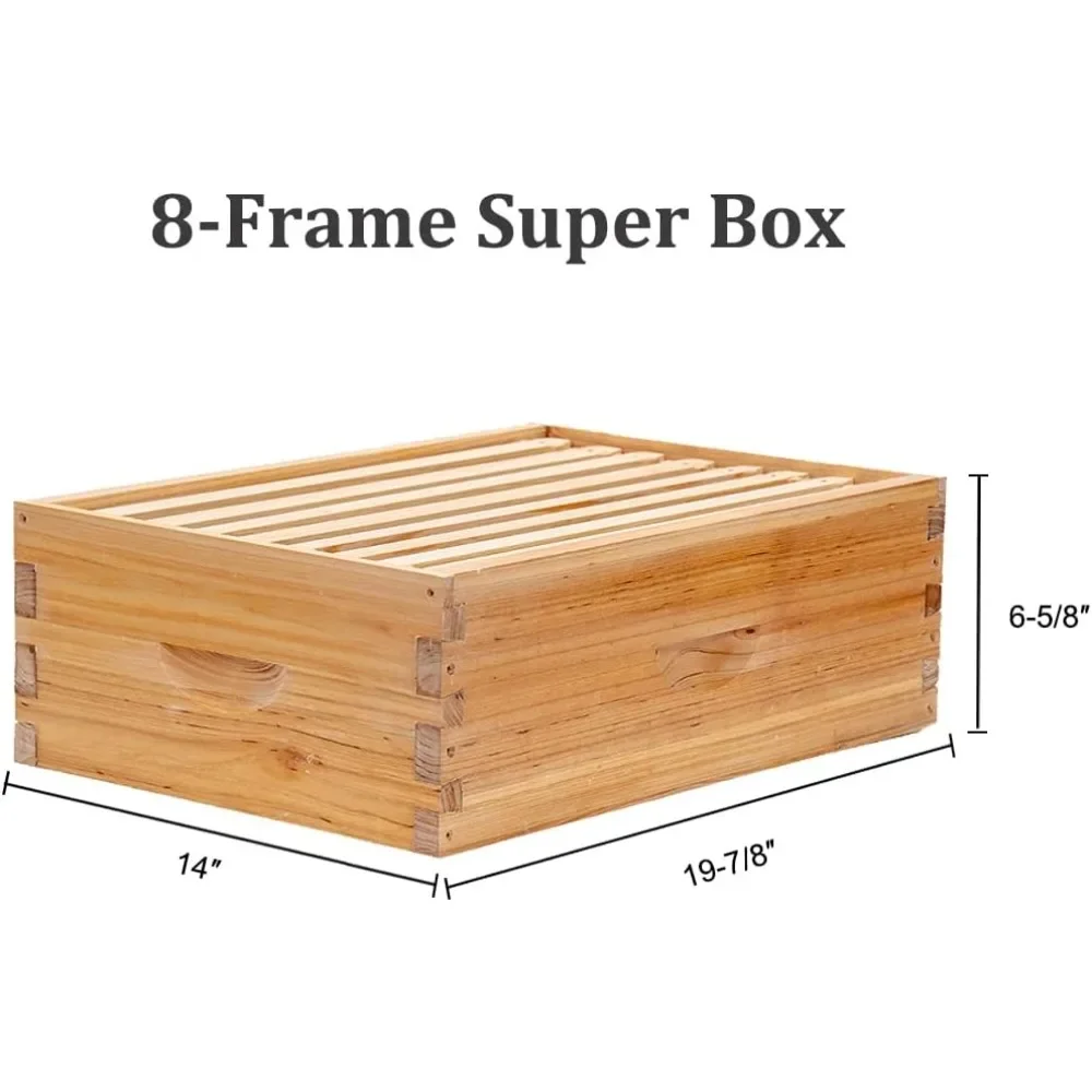 8 إطارات خلية نحلة Langstroth مطلية بشمع عسل 100% تتضمن إطارات خلية النحل وأساس مشمع (صندوقين عميقين وصندوق واحد متوسط