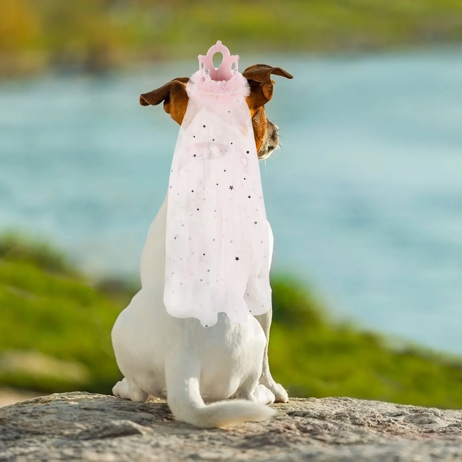 الحيوانات الأليفة تاج الحجاب الزفاف خوذة قابل للتعديل خفيفة الوزن الحجاب الزفاف للكلاب القط حفل زفاف الديكور غطاء الرأس الحيوانات الأليفة