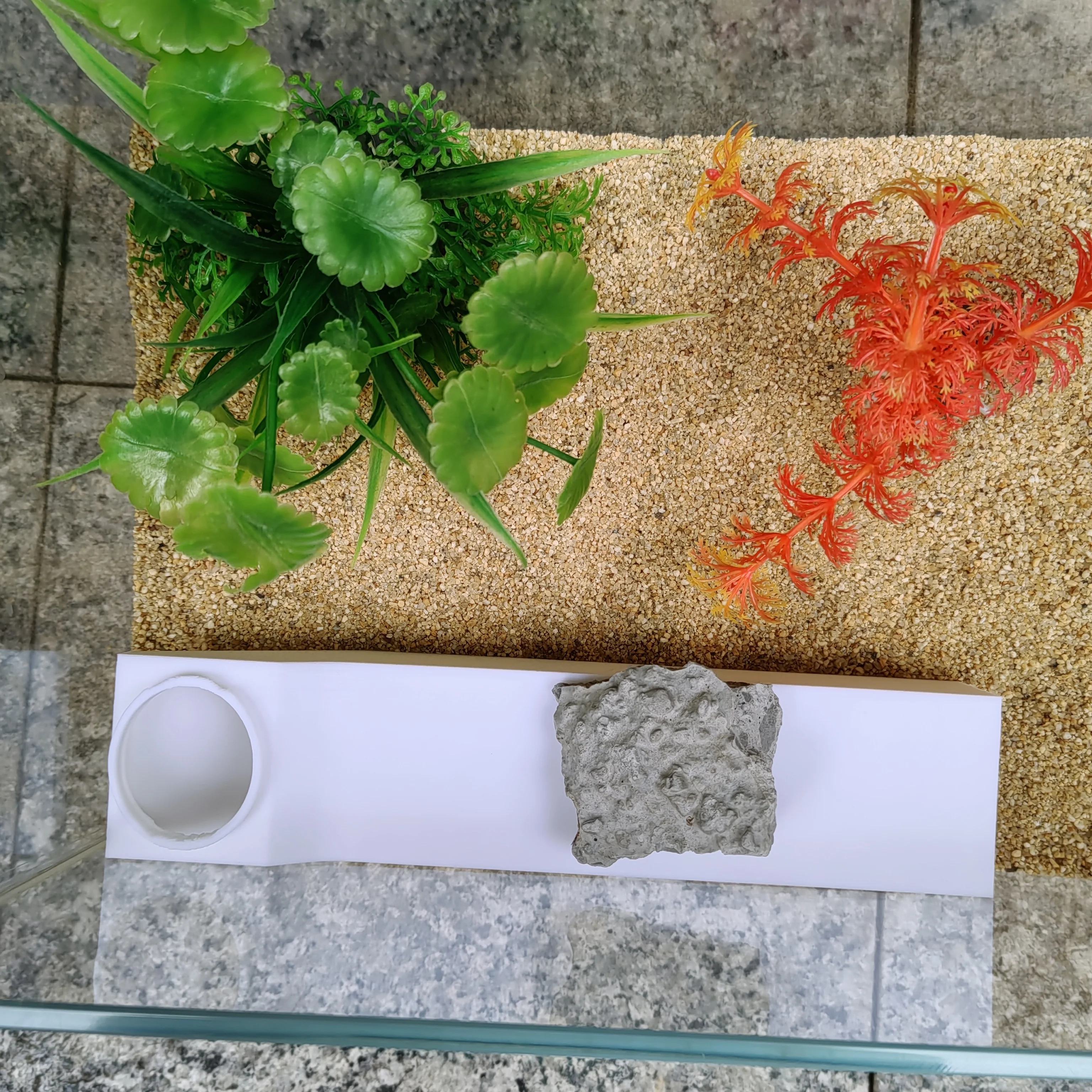 Aquarium glass hidden underground viewing tunnel underwater amusement full of fun