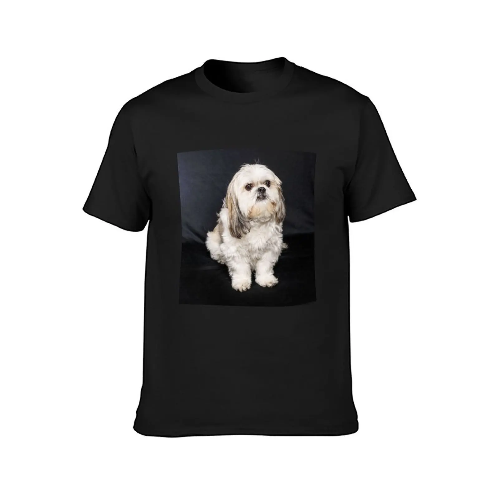 Timmy T-Shirt plus sizes blacks kawaii clothes Aesthetic clothing black t-shirts for men