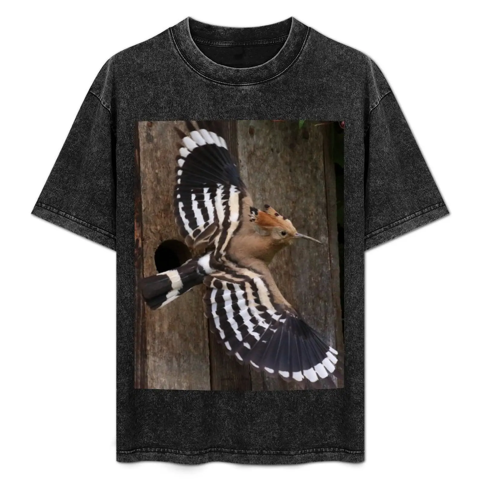 

Hoopoe In Feuersbrunn, Lower Austria T-Shirt funny meme t-shirts customs design your own fruit of the loom mens t shirts