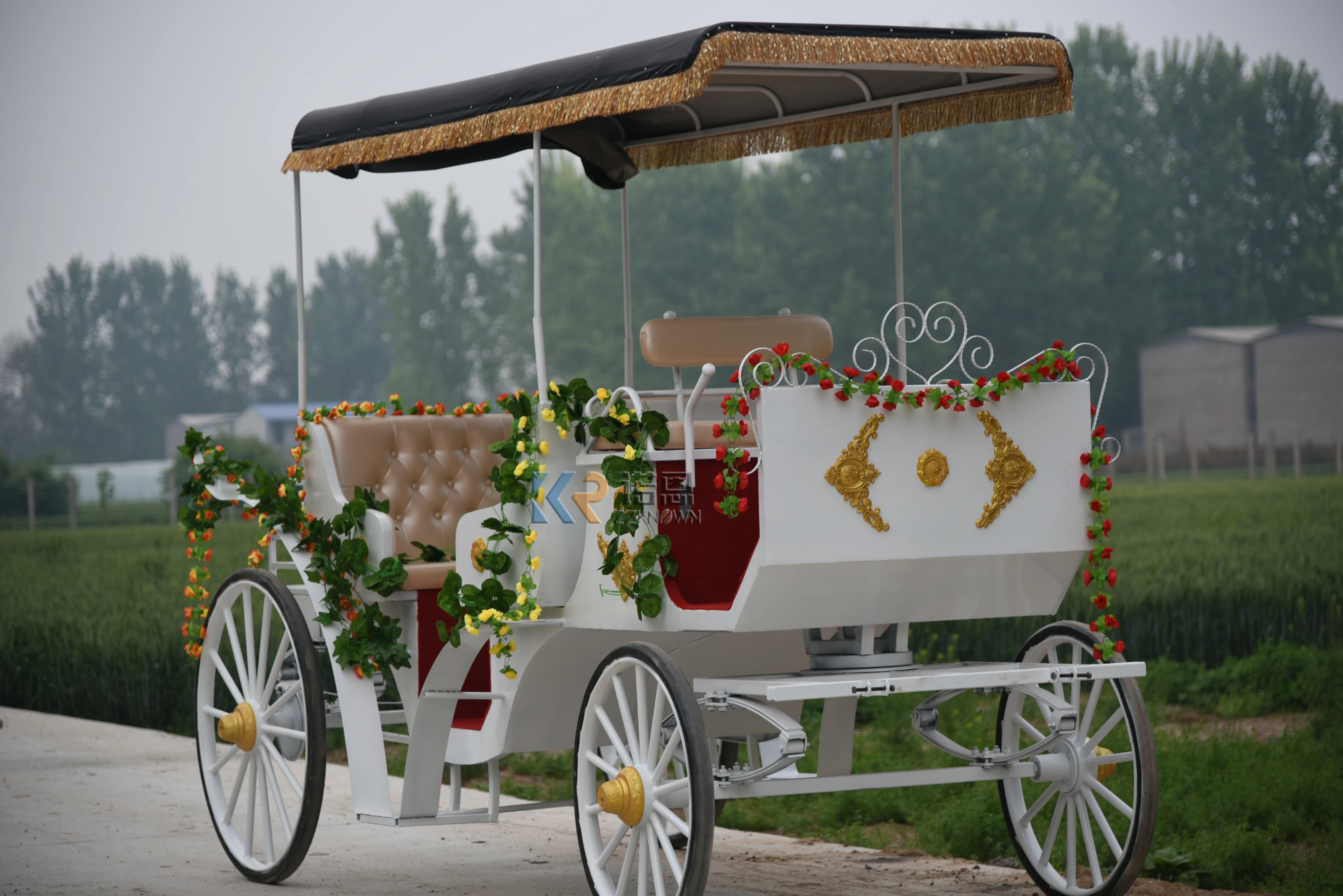 American Standard double Row Green Sightseeing Carriage ขนส่งพิเศษ Sightseeing Horse Carriage