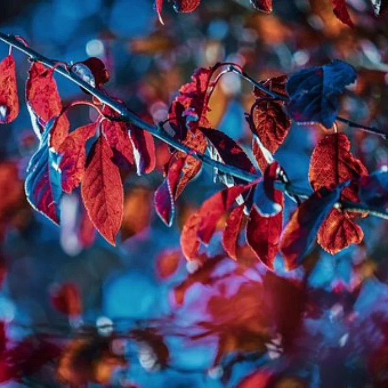 

4 шт., 12 мм, шестигранная 1/18, радиоуправляемая автомобильная шина для ARRMA TYPHON GROM GRANITE GROM, обновленные детали, аксессуары