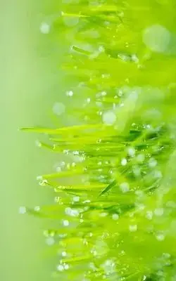 

Rechargeable 52V 19.2Ah Lithium-ion Battery Pack for Automotive 14S4P Dual Drive Car Battery 19200mAH 21700