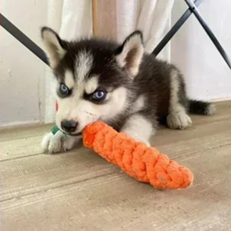 1 шт., игрушка для собак, морковный узел, веревочный шар, хлопковая веревка, гантели, щенок, чистка зубов, жевательная игрушка, прочная плетеная, устойчивая к укусам, товары для домашних животных