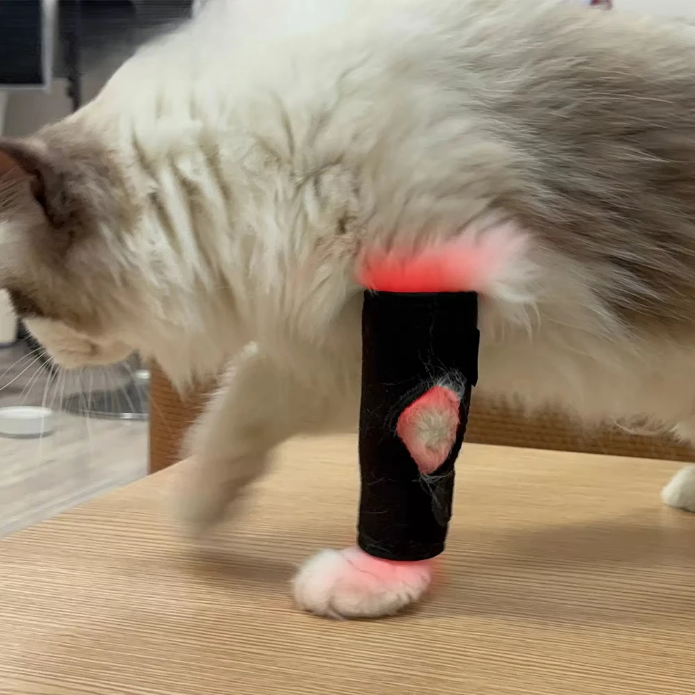 

660nm 850nm Animal Treatment Wearable Wrap Pain Relief Device Dog&Cat Red Light Therapy Infrared for Pet Joint Hock and Knee