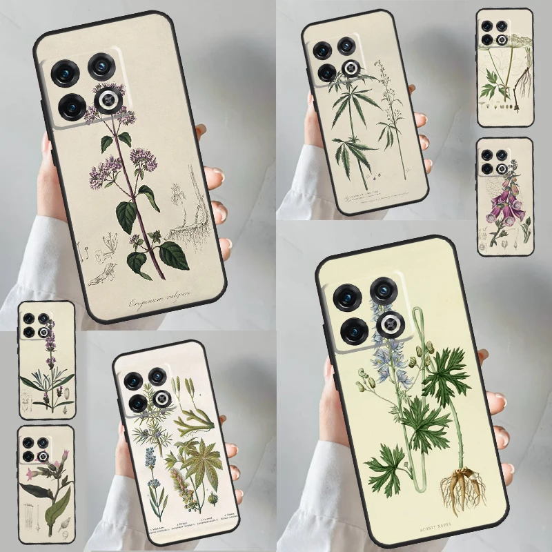 Botanical Drawings Flowers Plants Case For OnePlus Nord CE 3 Lite 2 2T N10 N20 N100 N200 8T 9R 10R 10T 11 8 9 10 Pro Cover