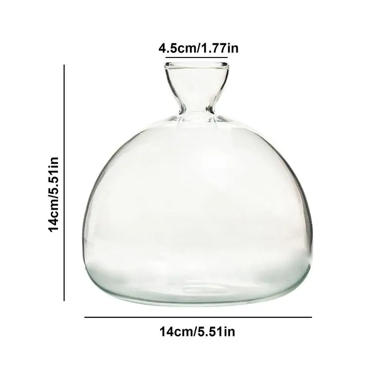 Avocado Samen Starter Vase transparente Glasvase Vase für den Anbau von Pflanzen Glas Samen Anbau Kit für Garten liebhaber