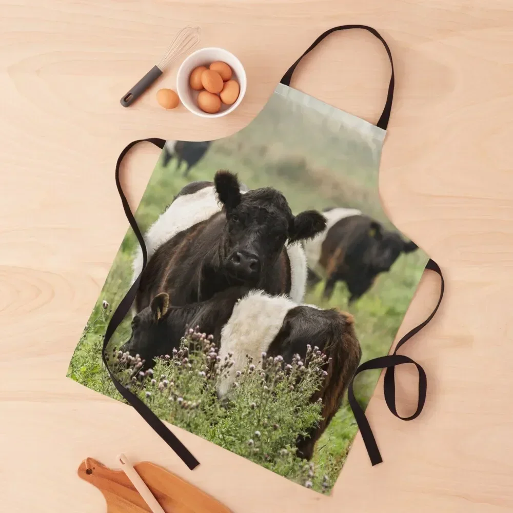 

Belted Galloway Cows Apron New year's innovative kitchen and home items Kitchen Chef japanese woman Apron