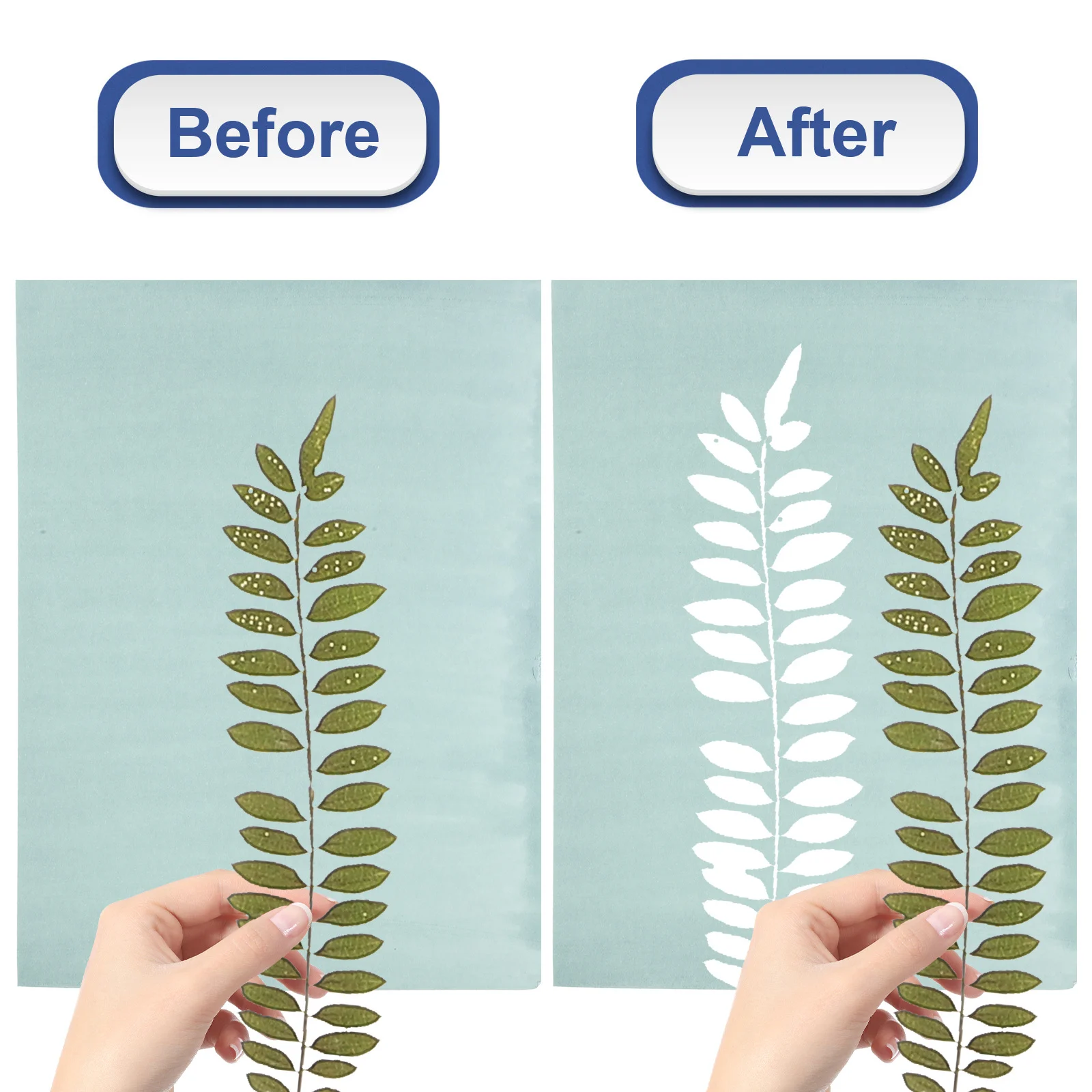 مجموعة ورق طباعة الشمس مقاس A5 من أوراق Cyanotype DIY سهلة الحمل من ورق الطباعة المنشط بالطاقة الشمسية للمشروعات الإبداعية