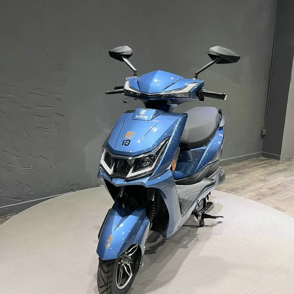 Low Mobility Adult Scooter Electr Moped 1000w Ckd 2 Wheel Moto Large Battery Disc Brake Dual Motor Enduro Bike Motorcyclecustom