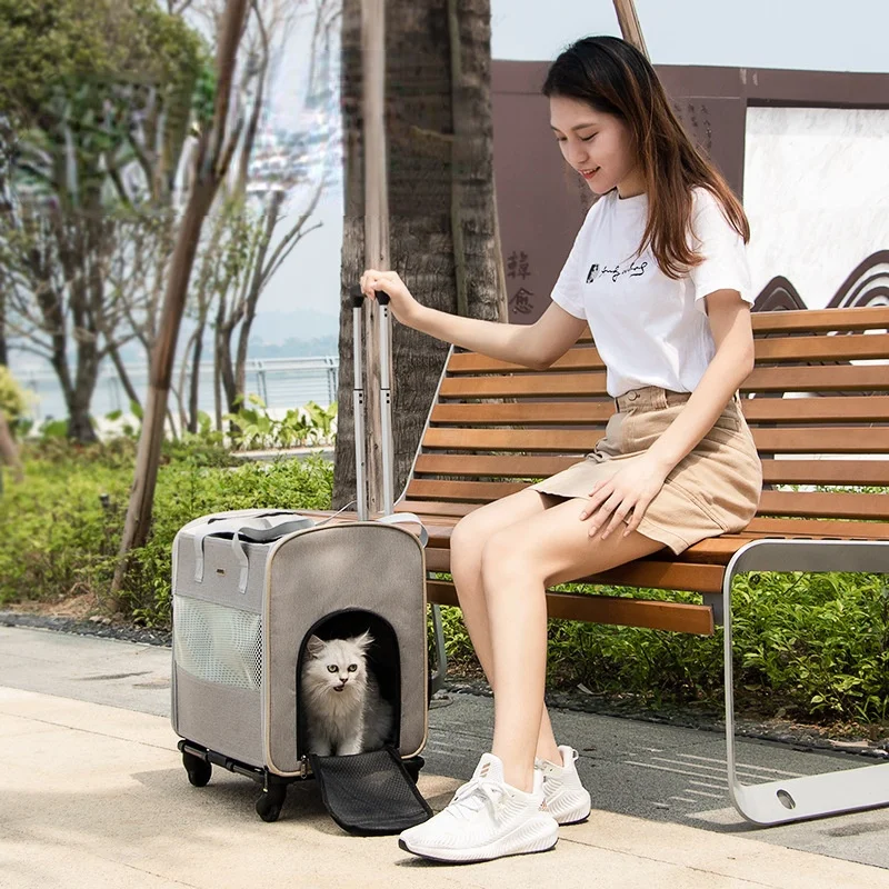 Pet Trolley Travel Portable Kitten Carrier Cage Dog Backpack Carry Puppy Carrier Breathable Large Capacity Outdoor Cat Bag