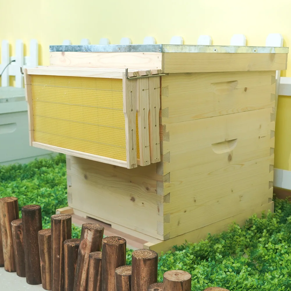 

Bee Hive Tools Frame Holder Stainless Steel of Beehive Frame Perch Hive Frame Support