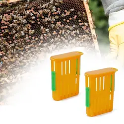 5Pcs Queen Bee Post Cage Beekeeping Queen Cages Move Transmit Grid Box Bee Marking Cage Beekeeping Tools Queens Shipping Box