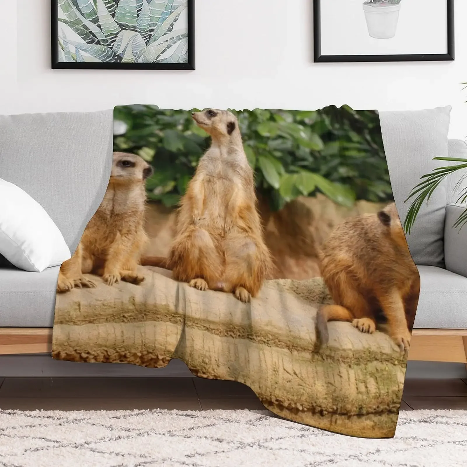 Meerkat 008 Throw Blanket Cozy Throw Blanket Birthday Gift for Him Her