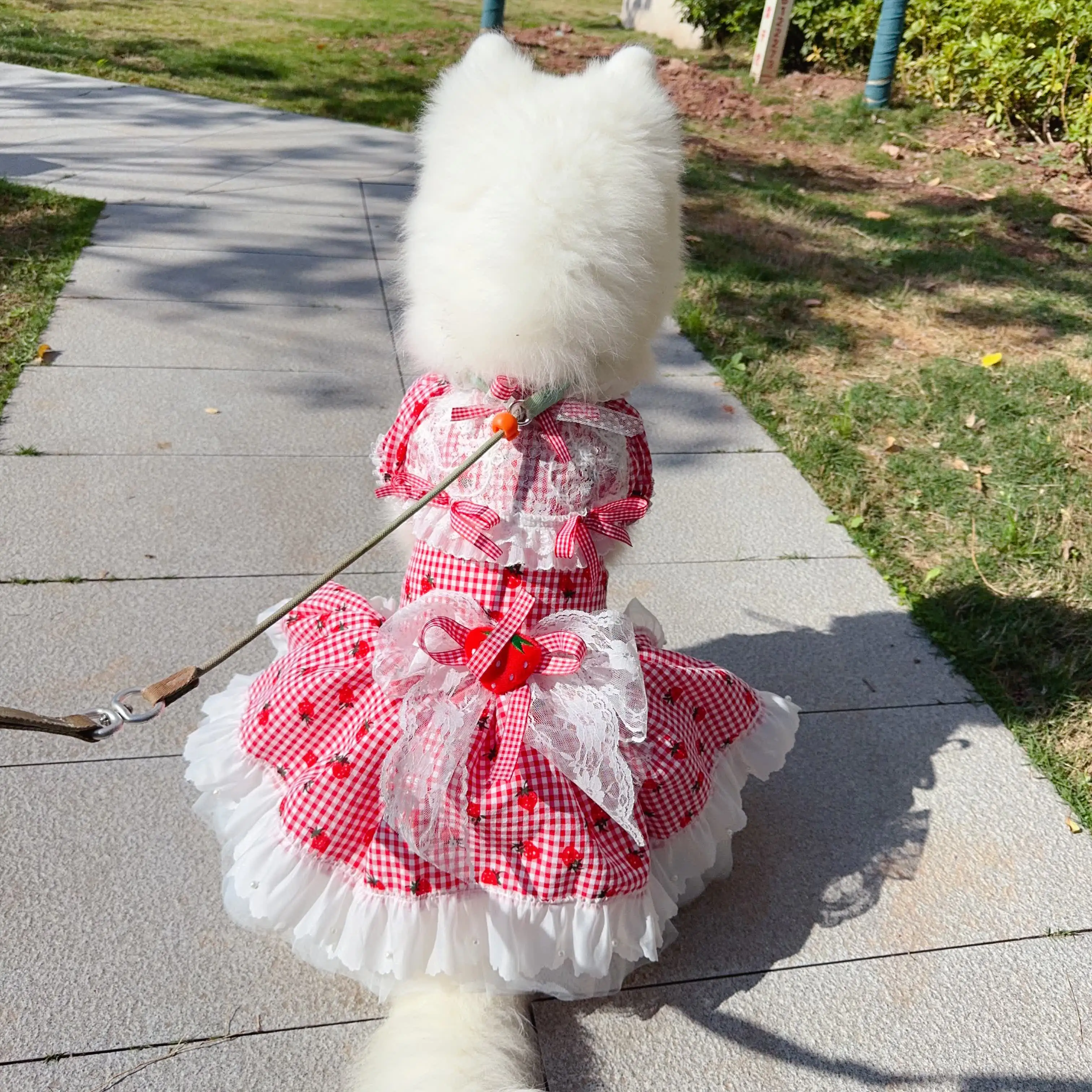 

Luxury Red Checkered Strawberry Print Lolita Dress for Small to Medium Dogs Fashion Pet Skirt Perfect for Photography Parties