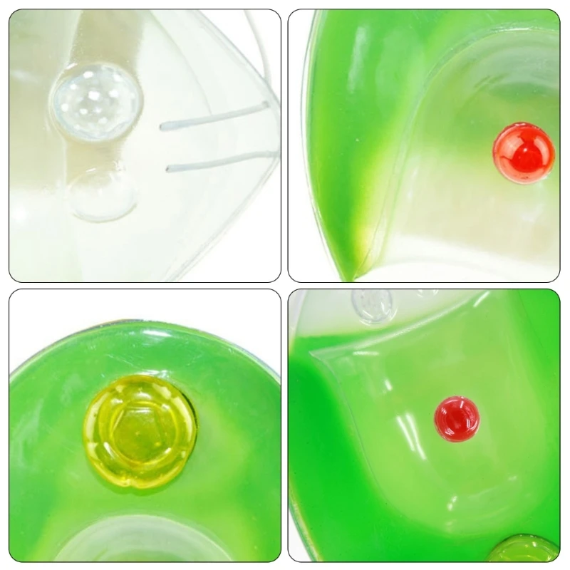 Single Cell Plant Anatomical Model Chlamydomonas Model for School Teaching