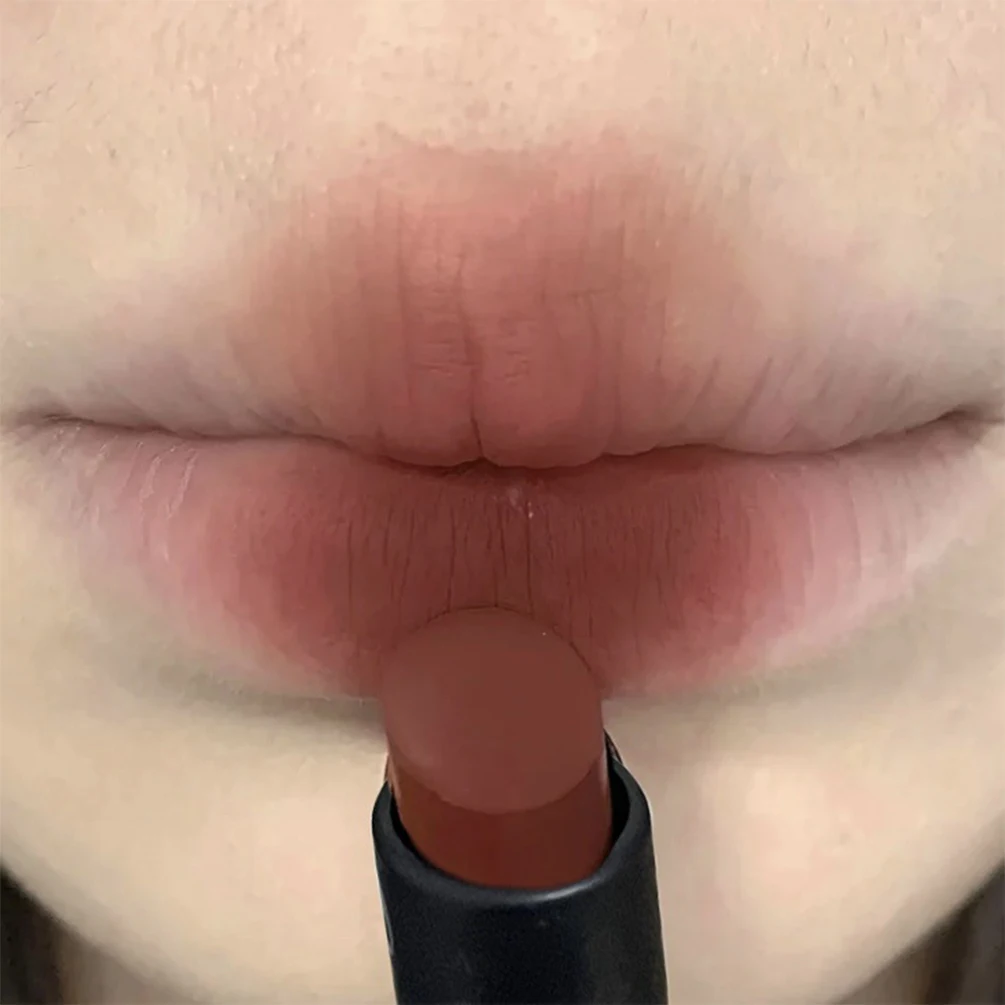 Waterproof Matte Velet Lip Stain Black Tube Long Lasting Pigment Nude Sexy Red Lipstick Luxury Professional Lips Makeup Beauty