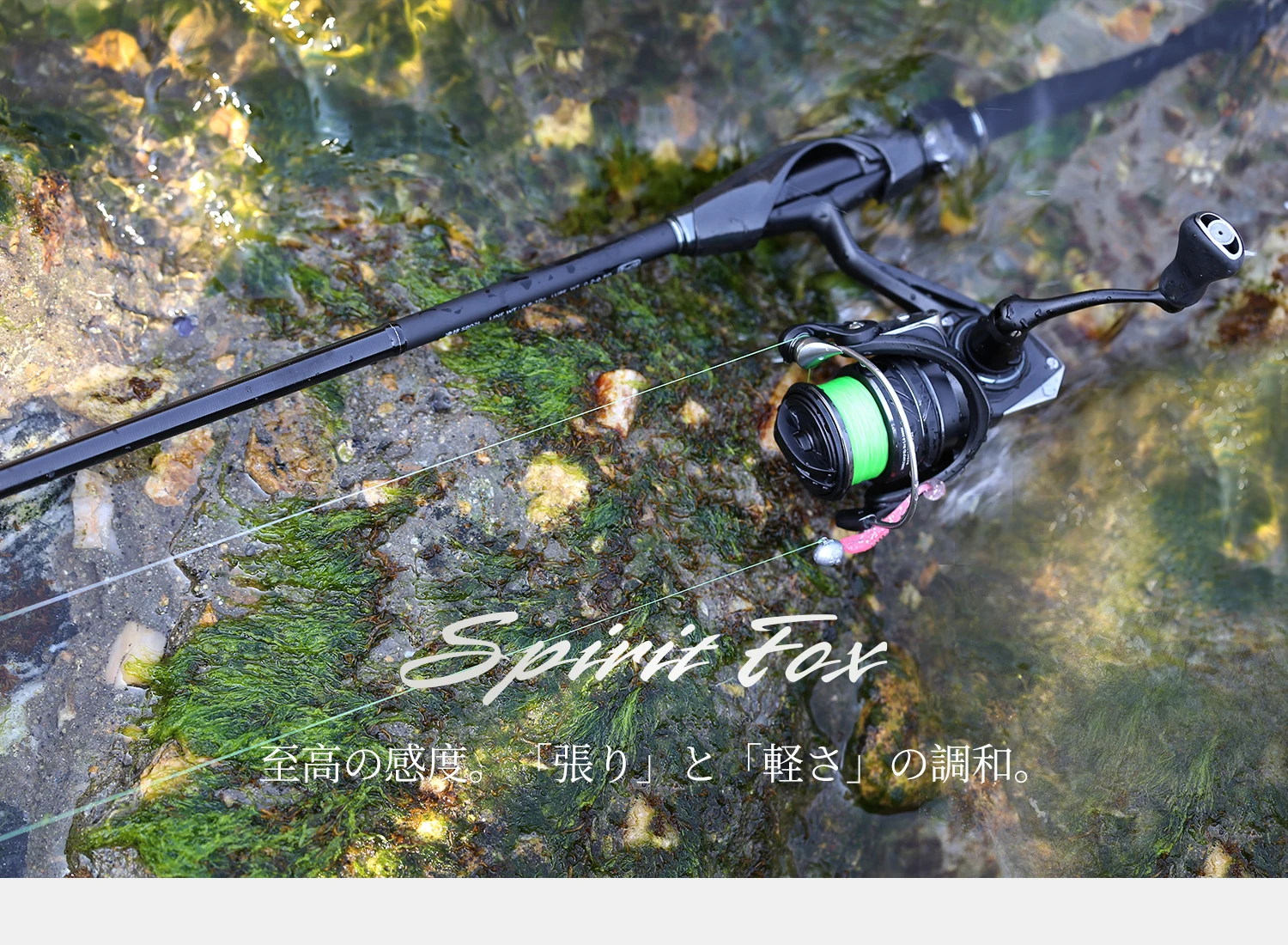 TSURINOYA Ultraleichte AJING Angelrute Spirit Fox S6102L-S S742L S762L Schnelle Aktion ROCKFISH Kleine Köder Leichtes Spinnfischen – Detail 16