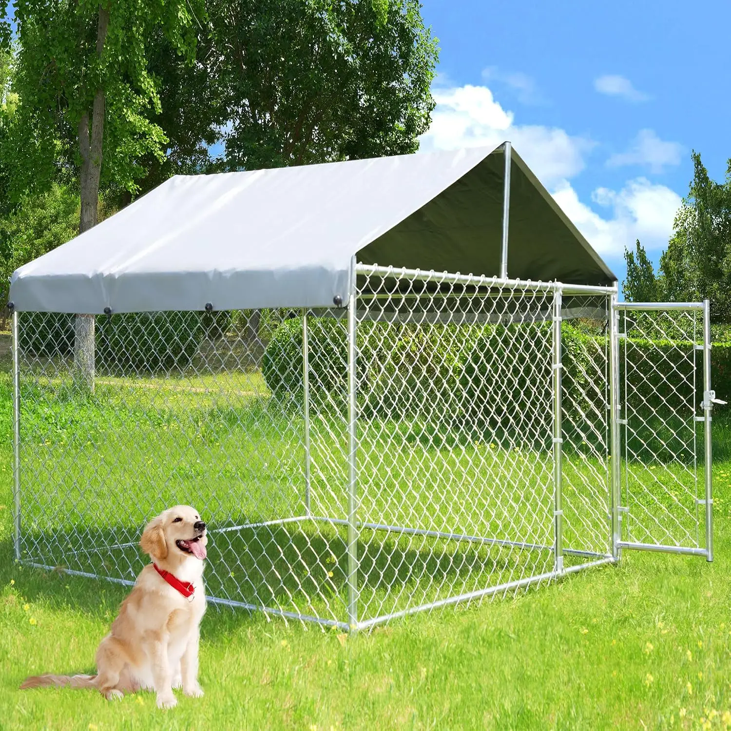 Security Chain Door - Heavy-Duty Outdoor Dog Kennel with Roof