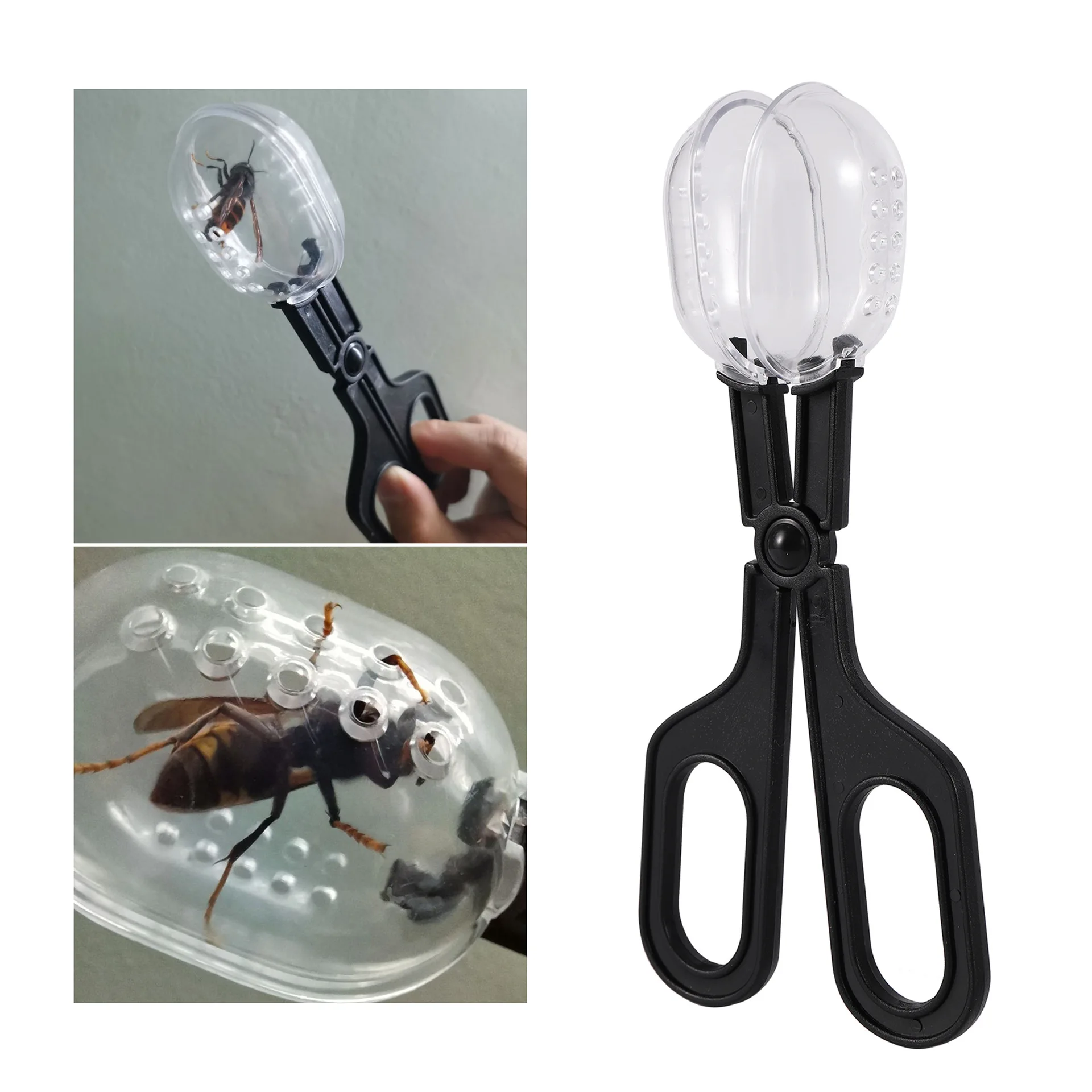 Bee capture clip queen transfer tool beekeeping beekeeping isolation cage reptile feeding bee clip