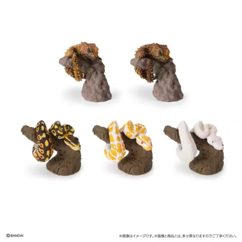 سلسلة مخلوق بانداي غاشابون أرماديلو سحلية وكرة بيثون، نموذج حيوان واقعي، ديكور مكتب لطيف، هدية محاكاة للزواحف