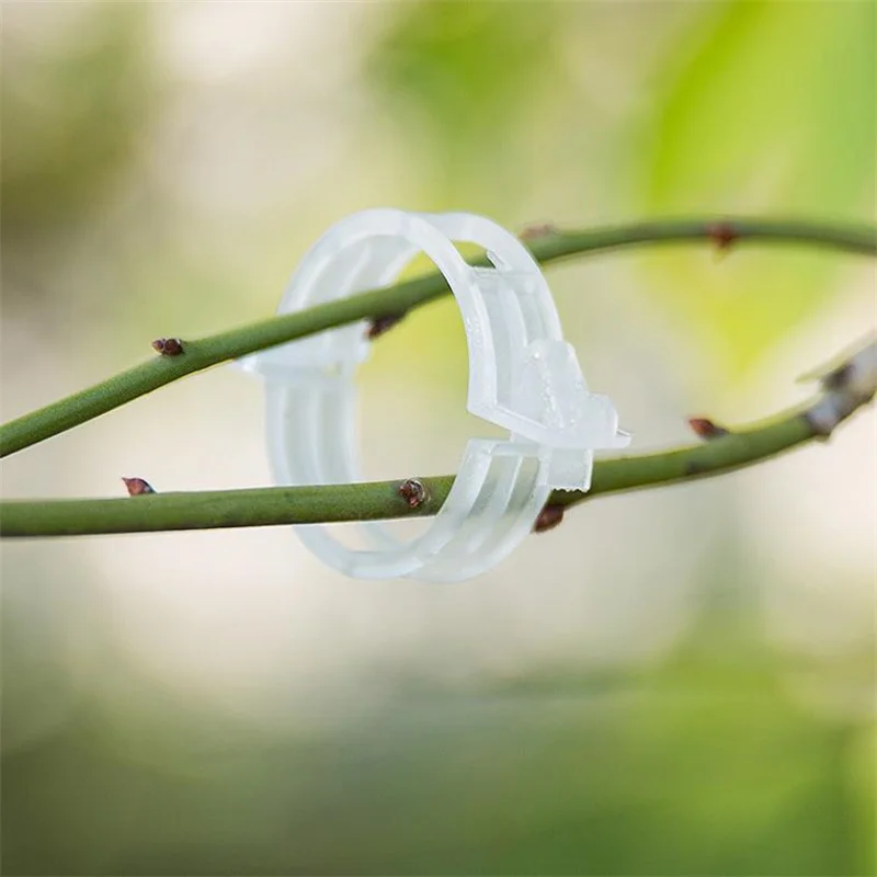 

100pcs Horticultural binding vine clip plant fixing clip Can be reused Flower, melon, fruit, vine clip