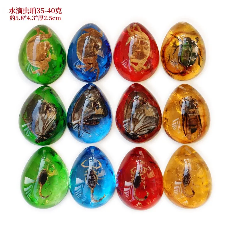 Random Children's Real Insect Specimens Resin Amber Insects Stone Pendant Necklace Gemstone for Friend Family