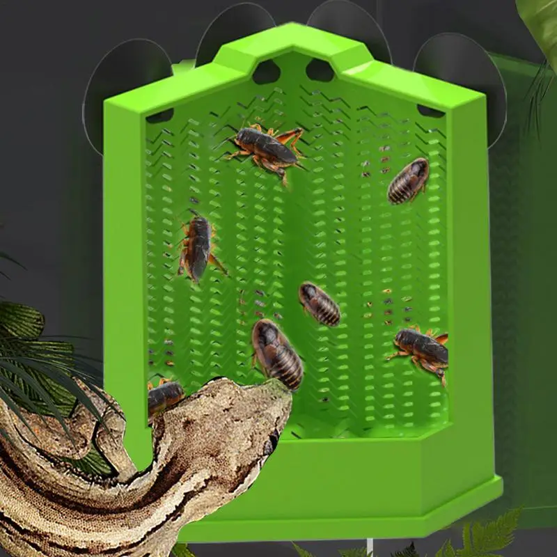 Reptiel Voerbak Reptiel Feeder Voerbak Zuignap Gekko Voedsel Schotel Reptiel Kom Terrarium Voerbak Anti-Escape Voor