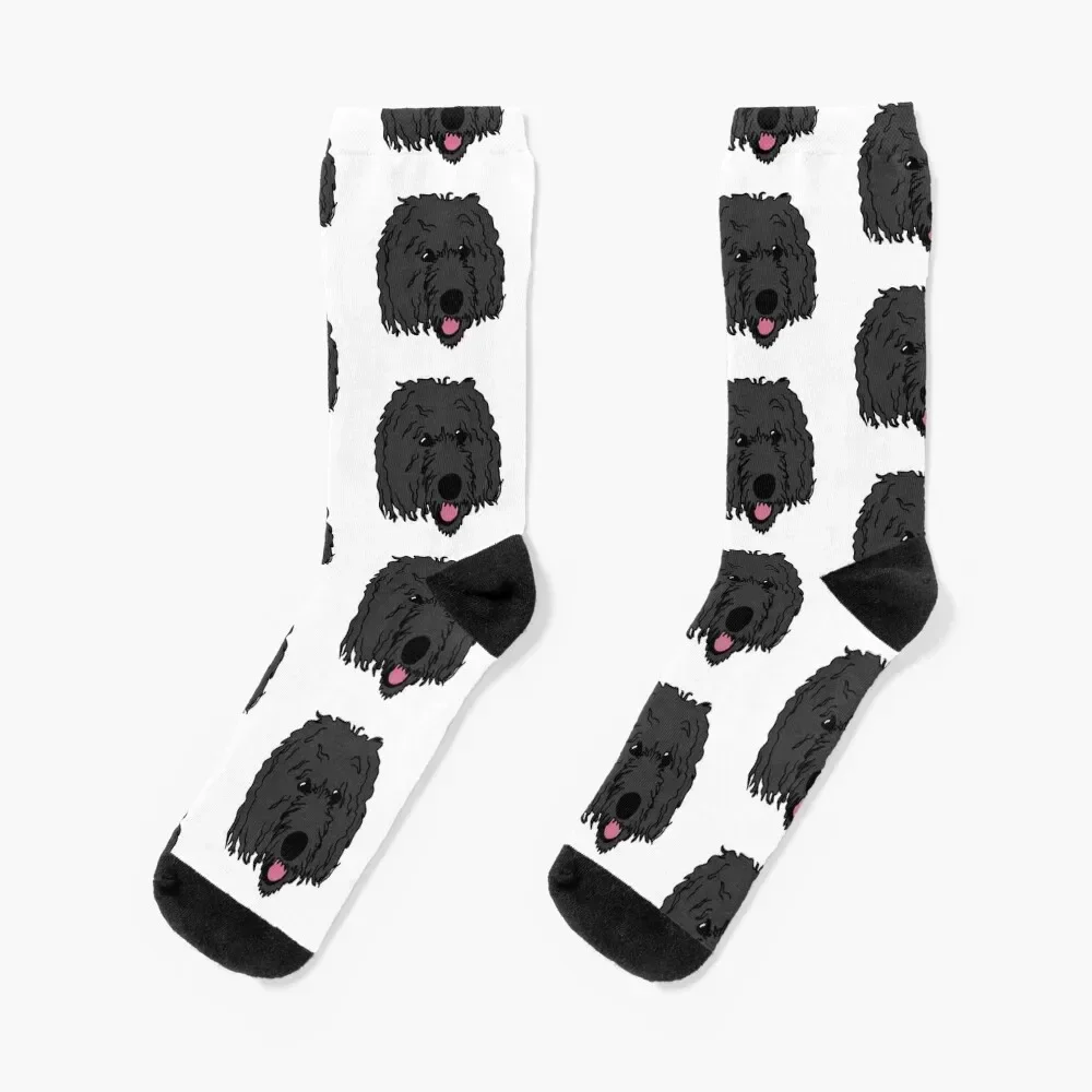 

Black BerneDoodle Labra doodle Dog Perro Socks Lots Soccer fashionable Socks For Women Men's
