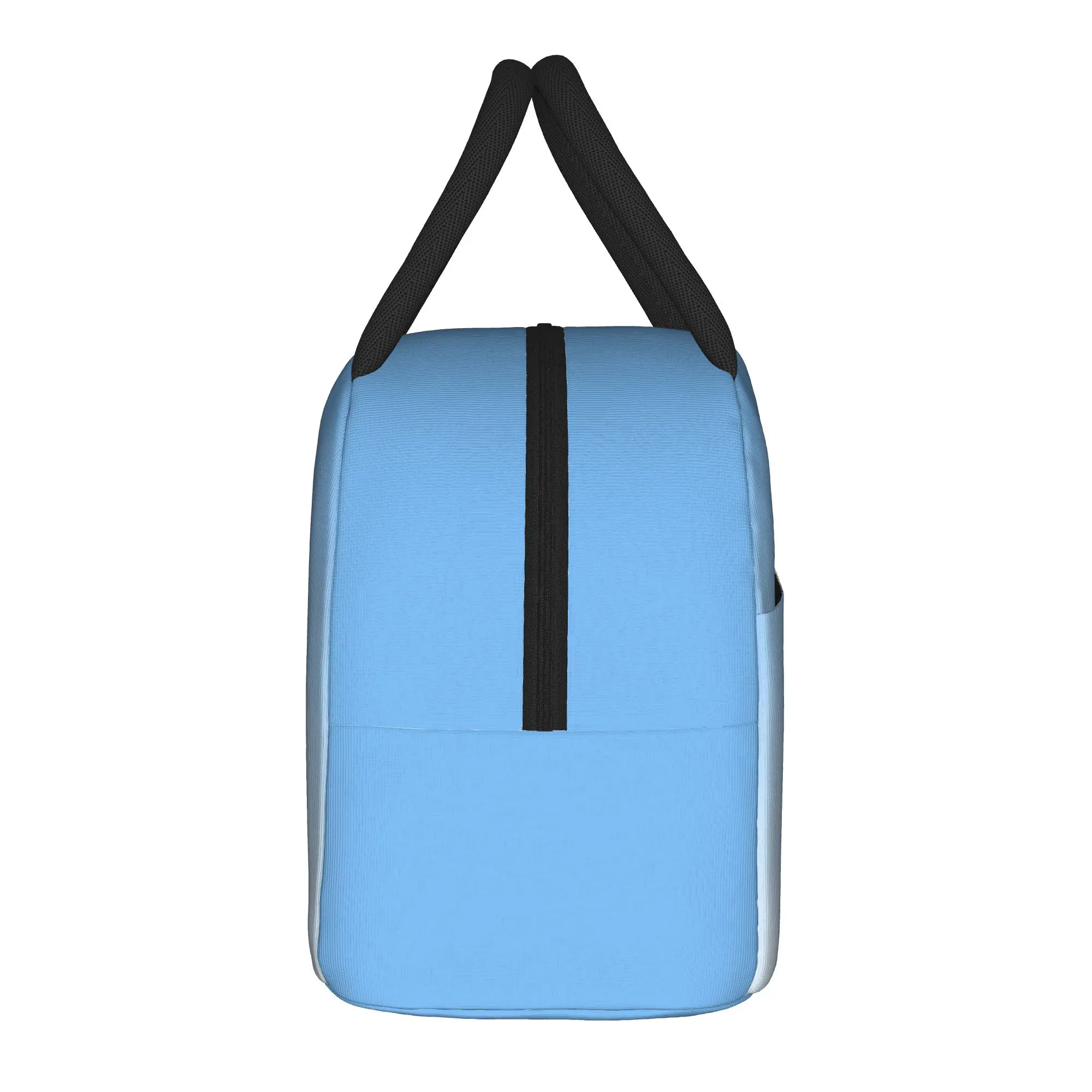 CUTE  P-Pudgy Penguin Insulated Lunch Bags Portable  Meal Container Thermal Bag Tote Lunch Box Office  Outdoor Food Bag
