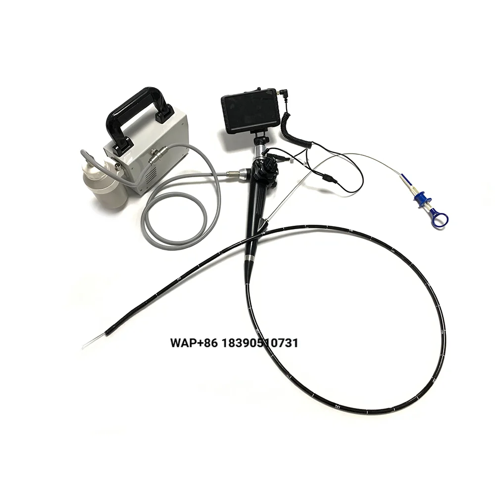 Classic professional cat/dog veterinary endoscope, electric, metal, CE certified
