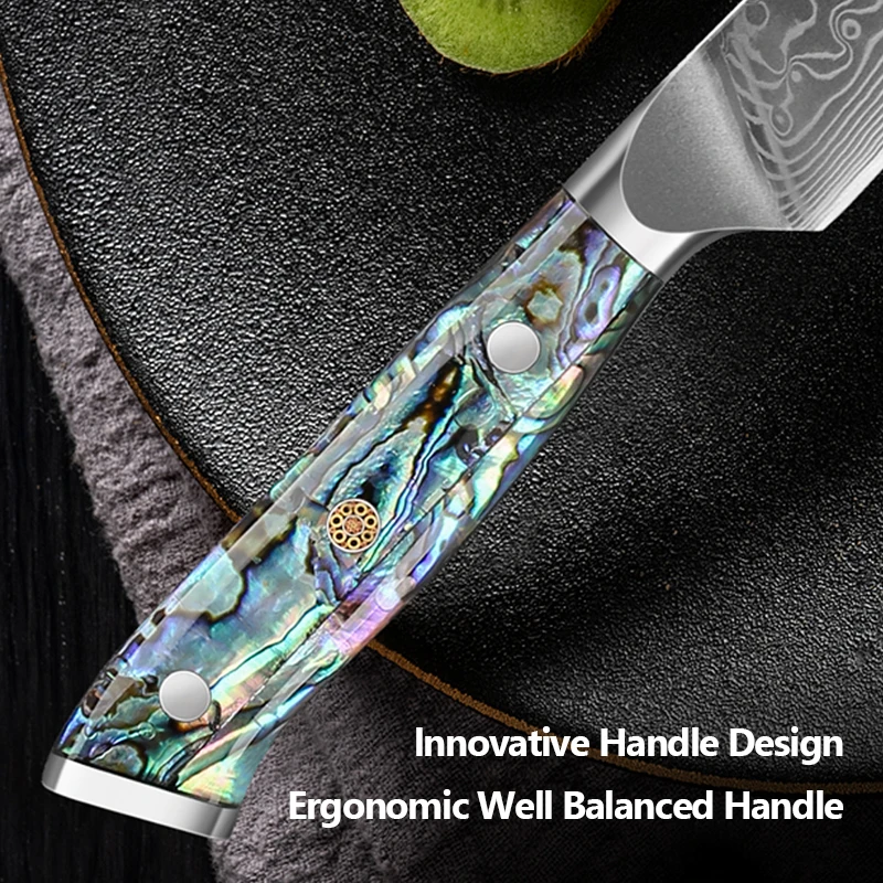 67-Layer Damascus Steel Chef Knife Set 5