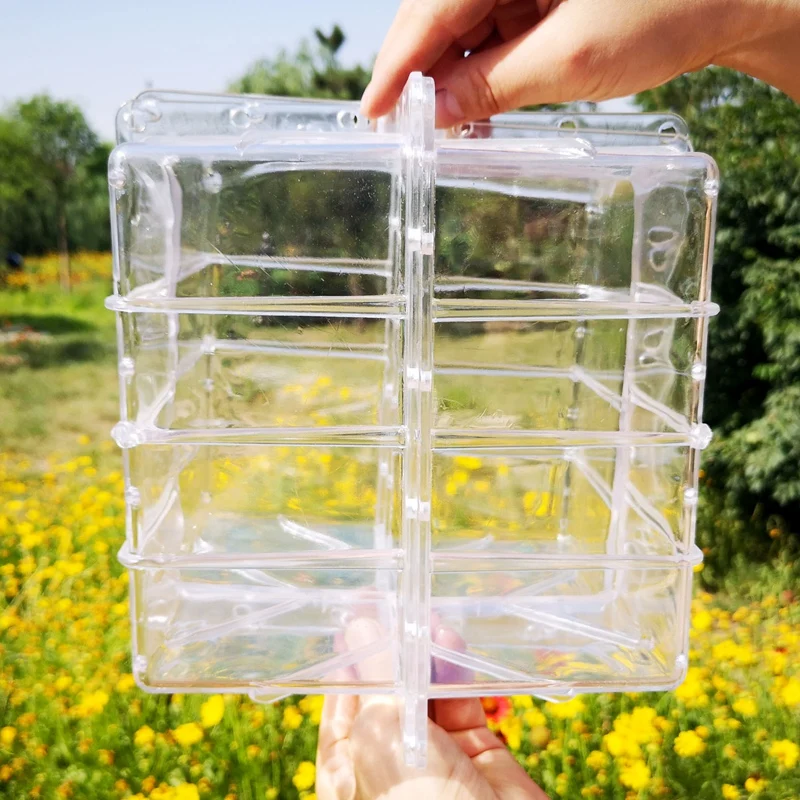 Stampo per coltivazione di anguria quadrato a forma di cuore in plastica di grandi dimensioni Stampo per modellare la crescita della frutta trasparente