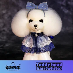 Mr.Jiang Teddy head Fake Hair  Pet Teacher Beauty Modeling Practice Dog Model Standard Skeleton Model Dog Whole Body Fake Hair